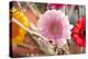 Flower, Gerbera, Blossom-Nikky Maier-Premier Image Canvas