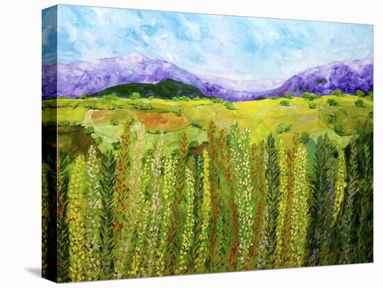 Flower Hedge-Allan Friedlander-Stretched Canvas