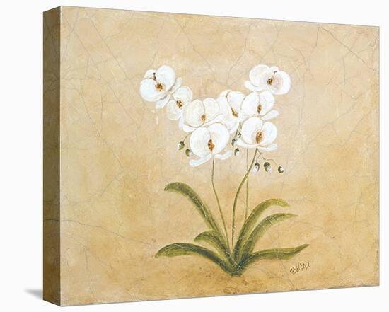 Flower I-Brigitte Beliose-Stretched Canvas