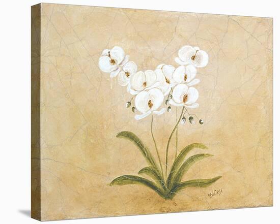 Flower I-Brigitte Beliose-Stretched Canvas