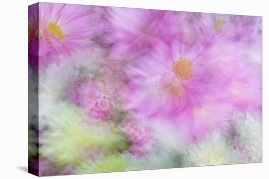 Flower Impressions I-Kathy Mahan-Stretched Canvas