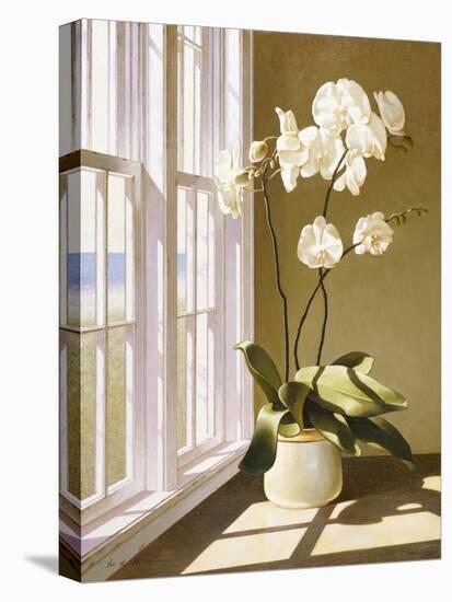 Flower In Window-Zhen-Huan Lu-Premier Image Canvas