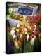 Flower Market, Amsterdam, Netherlands-Neil Farrin-Premier Image Canvas