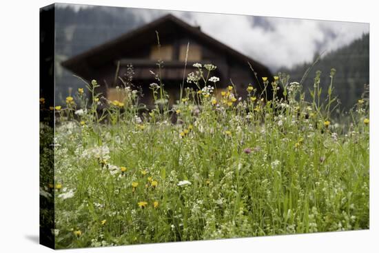 Flower Meadow, Farmhouse-Roland T.-Premier Image Canvas