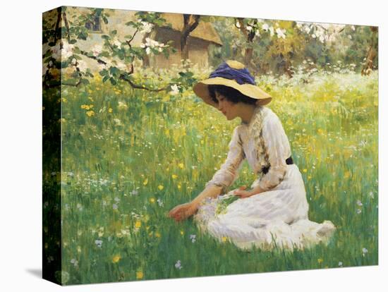 Flower Meadow-Arthur Hacker-Premier Image Canvas