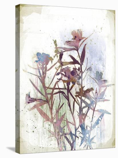 Flower Mist II-Ken Hurd-Stretched Canvas