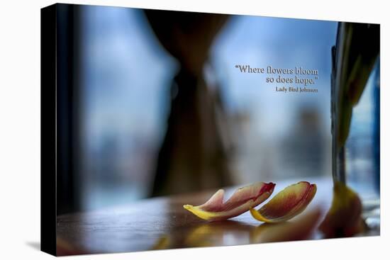 Flower petals on a counter top with Lady Bird Johnson Quote-null-Stretched Canvas