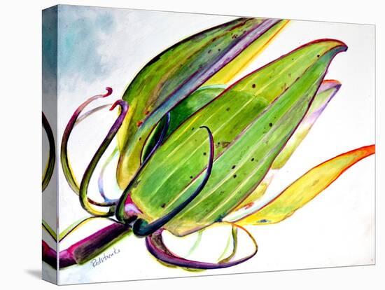 Flower Pod-Jennifer Redstreake Geary-Stretched Canvas