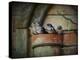 Flower Pot Swallows-Jai Johnson-Premier Image Canvas