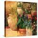 Flower Pots Left-Art Fronckowiak-Stretched Canvas