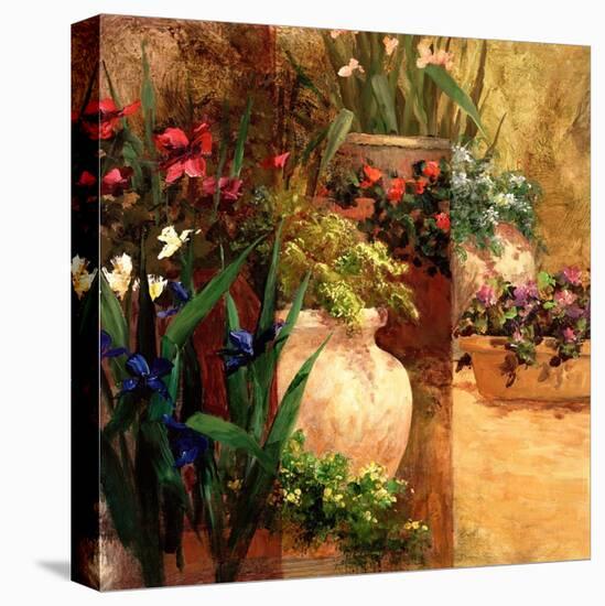 Flower Pots Right-Art Fronckowiak-Stretched Canvas