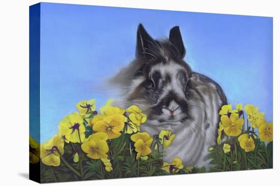 Flower Power Bunny-Karie-Ann Cooper-Premier Image Canvas
