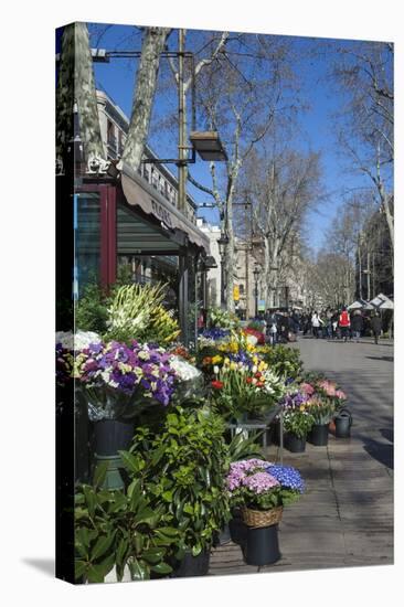 Flower Stall on Las Ramblas, Barcelona, Catalunya, Spain, Europe-James Emmerson-Premier Image Canvas