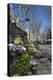 Flower Stall on Las Ramblas, Barcelona, Catalunya, Spain, Europe-James Emmerson-Premier Image Canvas