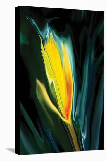 Flower Unkown 5-Rabi Khan-Stretched Canvas