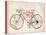 Flower Vintage Bicycle-studiohome-Stretched Canvas