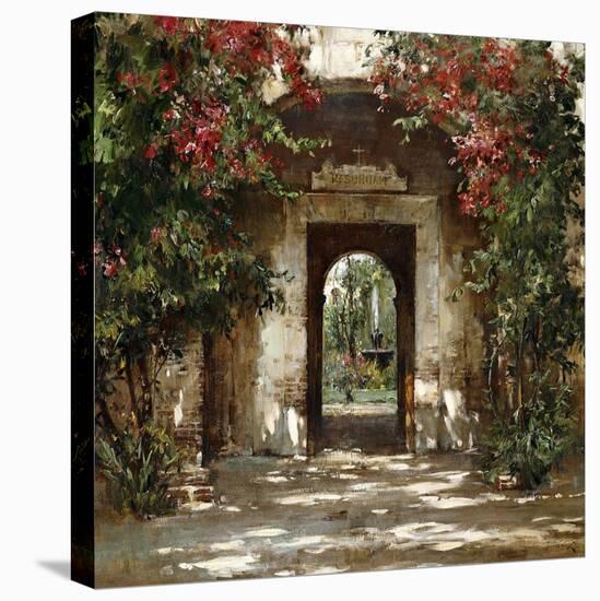 Flowered Doorway-Cyrus Afsary-Stretched Canvas