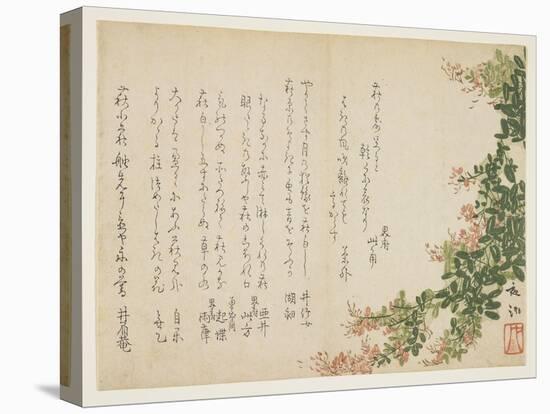 Flowering Bush Clover-Yano Yach?-Premier Image Canvas