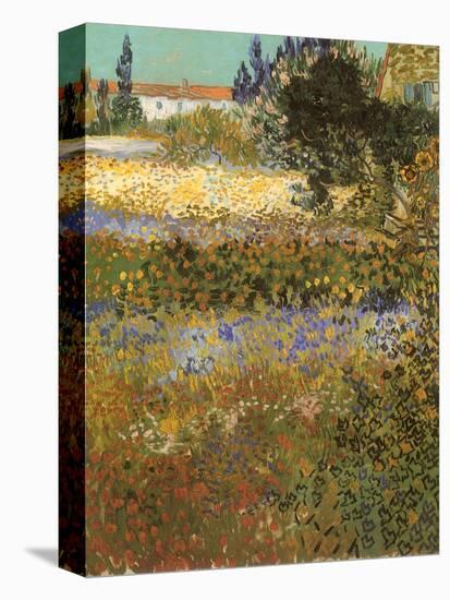 Flowering Garden, 1888-Vincent van Gogh-Premier Image Canvas