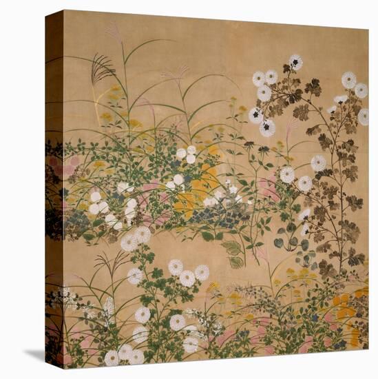 Flowering Plants in Autumn, 18th Century-Ogata Korin-Premier Image Canvas