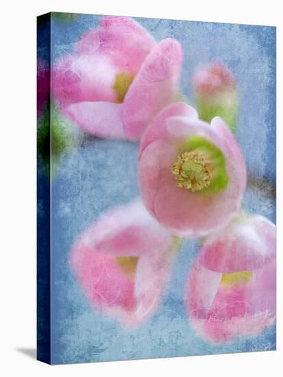 Flowering Quince II-Kathy Mahan-Premier Image Canvas