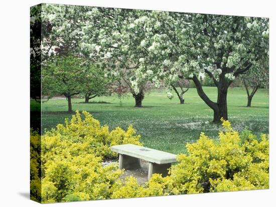 Flowering Trees with Memorial Bench, Yakima Area Arboretum, Washington, USA-null-Premier Image Canvas