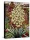 Flowering Yucca-Christopher Ryland-Premier Image Canvas