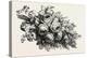 Flowers, 19th Century-null-Premier Image Canvas