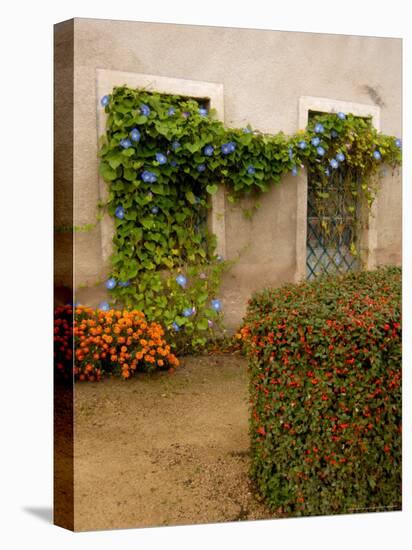 Flowers Along Stucco Building, Burgundy, France-Lisa S. Engelbrecht-Premier Image Canvas