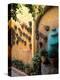 Flowers and Architecture in San Miguel de Allende, Mexico-Bill Bachmann-Premier Image Canvas