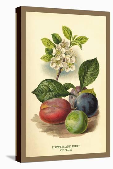 Flowers and Fruit of a Plum-W.h.j. Boot-Stretched Canvas