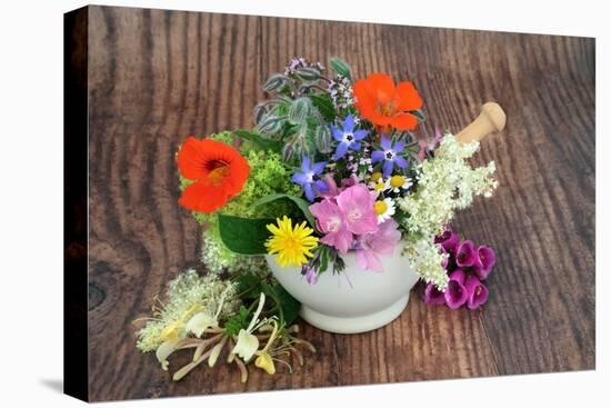 Flowers and Herbs for Natural Plant Based Herbal Remedies-marilyna-Premier Image Canvas