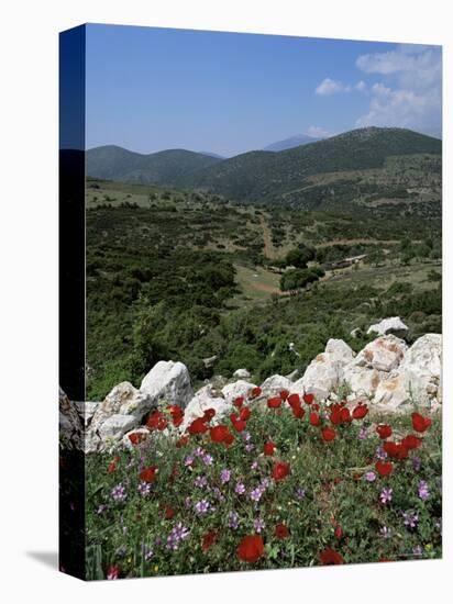 Flowers and Landscape, Greece-Tony Gervis-Premier Image Canvas