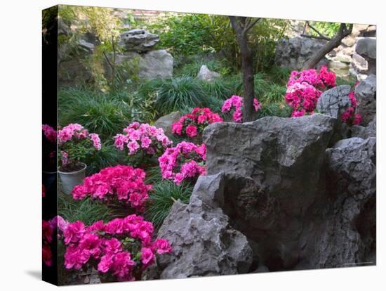 Flowers and Rocks in Traditional Chinese Garden, China-Keren Su-Premier Image Canvas