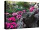 Flowers and Rocks in Traditional Chinese Garden, China-Keren Su-Premier Image Canvas