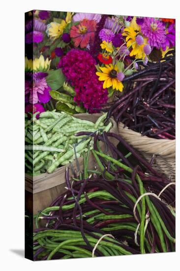 Flowers and Vegetables at Farmers' Market, Savannah, Georgia, USA-Joanne Wells-Premier Image Canvas