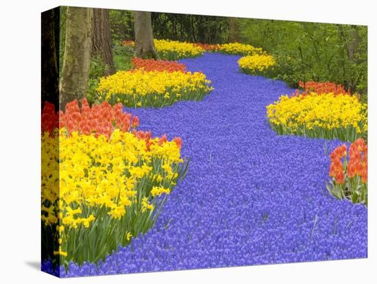 Flowers at Keukenhof Garden-Jim Zuckerman-Premier Image Canvas