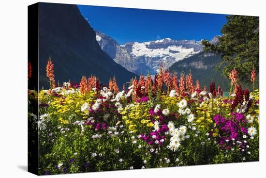 Flowers at Lake Louise under Mount Victoria, Banff National Park, Alberta, Canada-Russ Bishop-Premier Image Canvas