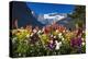 Flowers at Lake Louise under Mount Victoria, Banff National Park, Alberta, Canada-Russ Bishop-Premier Image Canvas