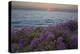 Flowers at Sunset, Del Mar Coast California, USA-Charles Gurche-Premier Image Canvas