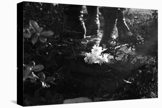 Flowers at Vietnam Memorial Washington DC-null-Stretched Canvas