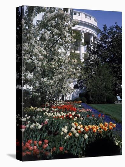 Flowers Blooming in the The White House Gardens-George Silk-Premier Image Canvas