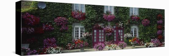 Flowers Breton Home Brittany France-null-Premier Image Canvas