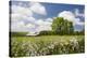 Flowers & Farm, Holmes County, Ohio ‘10-Monte Nagler-Premier Image Canvas