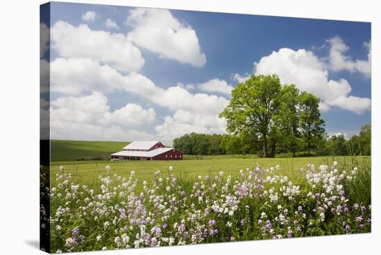 Flowers & Farm, Holmes County, Ohio ‘10-Monte Nagler-Stretched Canvas