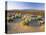 Flowers Growing on Desert, Anza Borrego Desert State Park, California, USA-Adam Jones-Premier Image Canvas