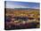 Flowers Growing on Desert Landscape, Sonoran Desert, Anza Borrego Desert State Park, California, US-Adam Jones-Premier Image Canvas