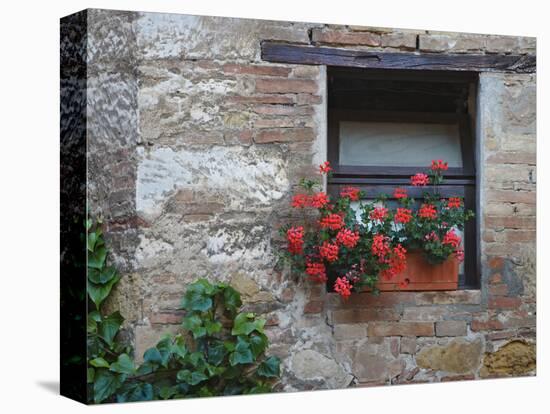 Flowers in a Window In a Tuscan Village, San Quirico d'Orcia, Italy-Dennis Flaherty-Premier Image Canvas