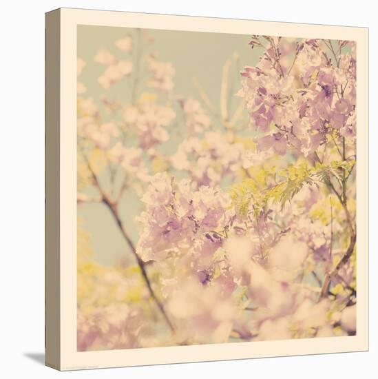 Flowers in Bloom-Myan Soffia-Premier Image Canvas