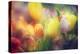 Flowers in Color Filters-Timofeeva Maria-Premier Image Canvas